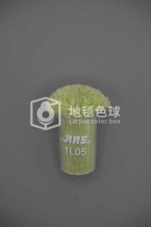 ARS 1L05