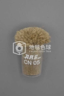 ARS CN05