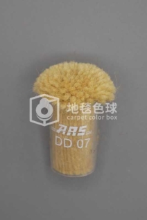 ARS DD07