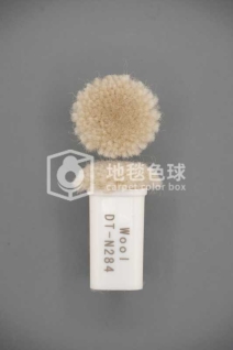 DT N284