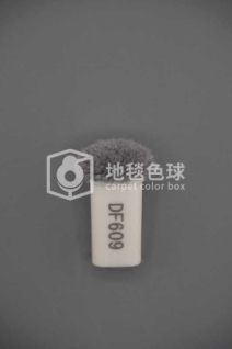DF609