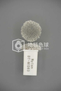 DT N1363