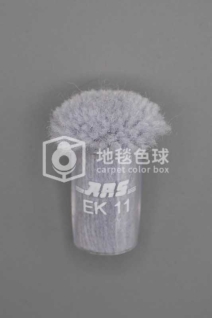 ARS EK11