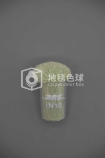 ARS 1N18
