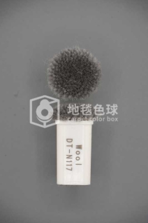 DT N117
