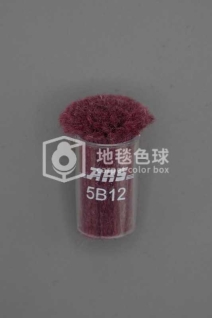 ARS 5B12