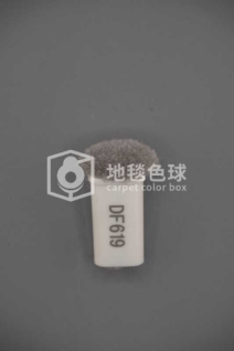 DF619