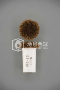 DT 012