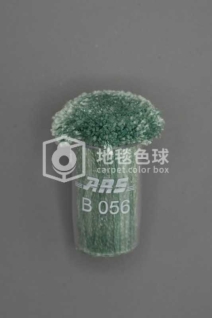ARS B056