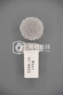 DT N055