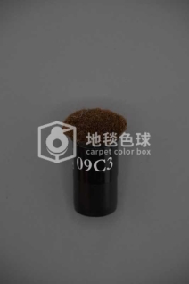 09C3