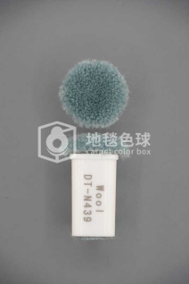 DT N439