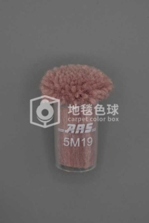 ARS 5M19