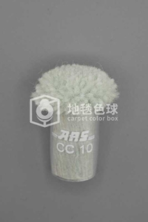 ARS CC10