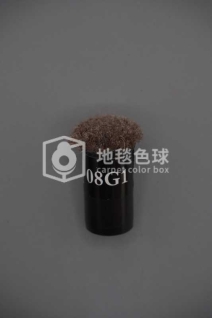 08G1