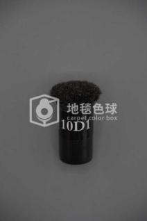 10D1