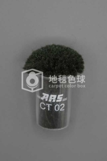 ARS CT02