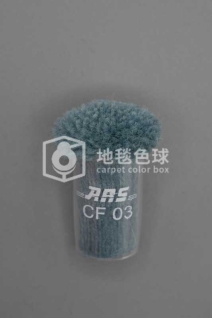 ARS CF03