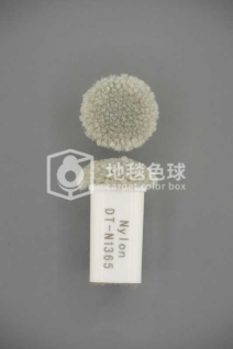 DT N1365