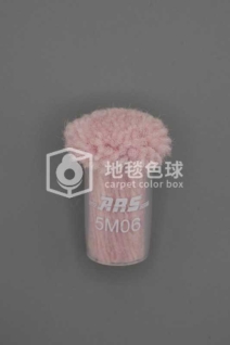 ARS 5M06