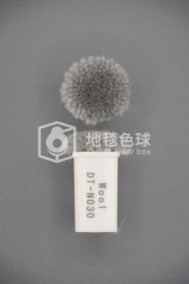 DT N030