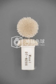 DT N286