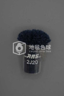 ARS 2J20