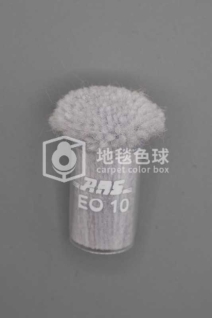ARS EO10