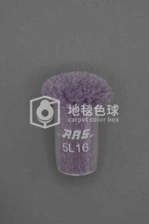 ARS 5L16