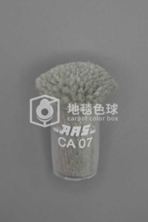 ARS CA07