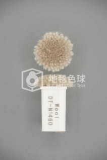 DT N1460