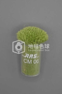 ARS CM06