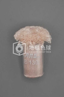 ARS E139