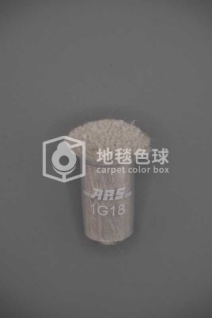 ARS 1G18