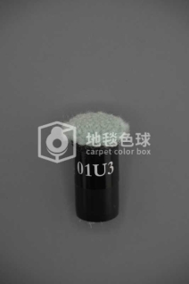 01U3
