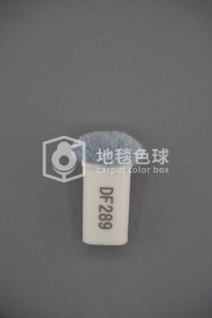 DF289