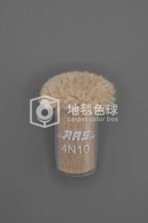 ARS 4N10