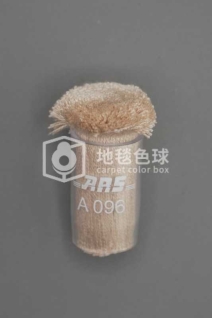ARS A096