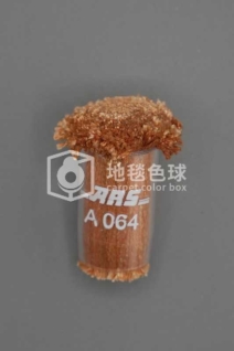ARS A064