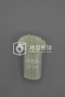 ARS 3F09