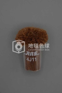 ARS 4J11