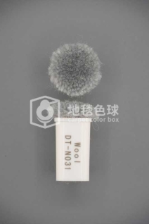 DT N031
