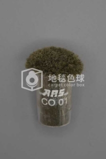 ARS CO01