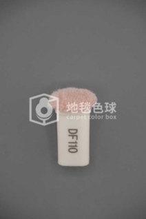 DF110