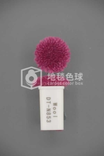 DT N853
