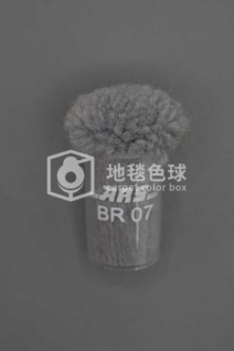 ARS BR07