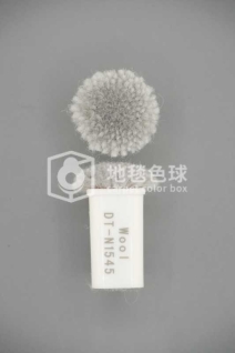 DT N1545