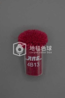 ARS 4B13