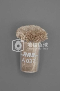 ARS A037