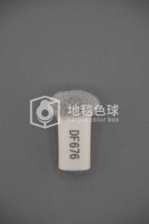 DF676